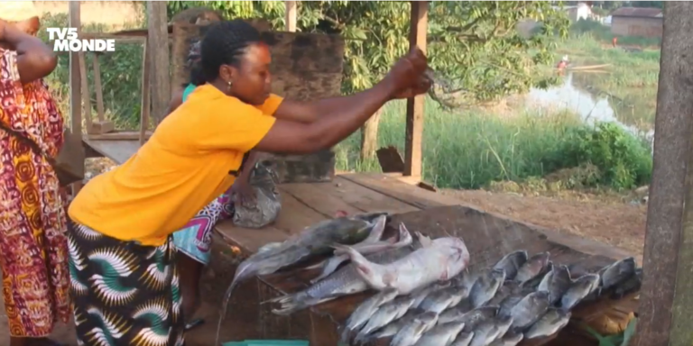 CENTRAFRIQUE – ECONOMIE : Les pêcheurs confrontés à la montée des eaux. 