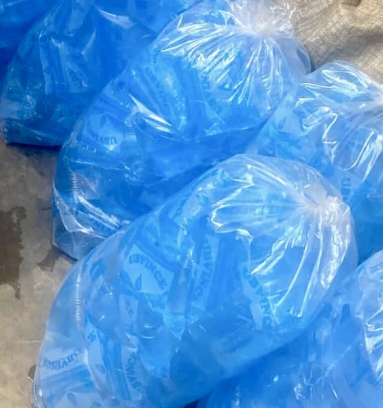 CENTRAFRIQUE – SOCIÉTÉ : L’eau minérale, un business indispensable et lucratif