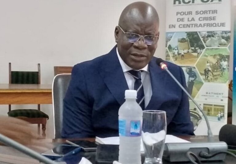 CENTRAFRIQUE – AGRICULTURE : En visite sur le terrain avec le ministre Richard Filakota