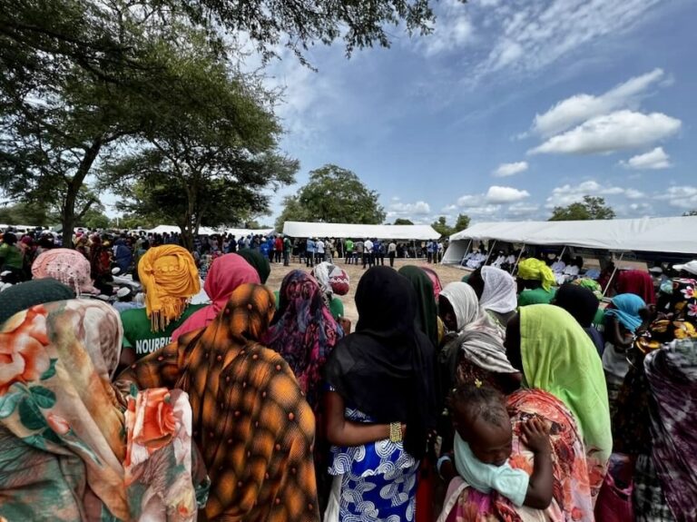 CENTRAFRIQUE – DÉFENSE : Des infiltrés soudanais à Birao ?