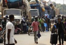 RCA – ÉCONOMIE : Le Cameroun, voie principale de transit commercial vers la Centrafrique