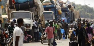 RCA – ÉCONOMIE : Le Cameroun, voie principale de transit commercial vers la Centrafrique