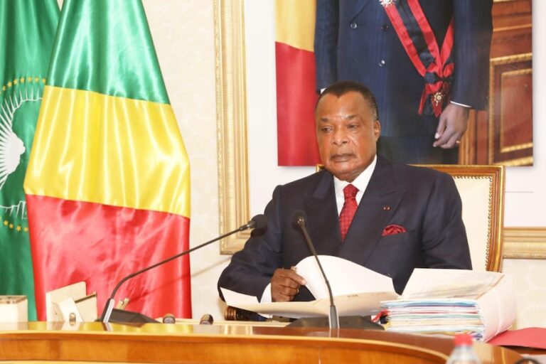 CONGO – ÉCONOMIE : Le président de la République détermine les axes d’investissement pour la Jeunesse