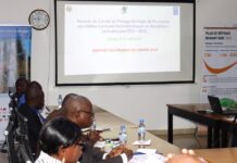 CENTRAFRIQUE – INFRASTRUCTURES : Relance d’un projet de construction des petites centrales hydroélectriques