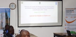 CENTRAFRIQUE – INFRASTRUCTURES : Relance d’un projet de construction des petites centrales hydroélectriques