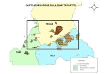 AFRIQUE CENTRALE – DÉFENSE : Vers une coopération sécuritaire entre le Tchad, le Cameroun et la RCA