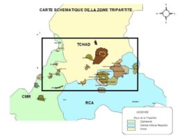 AFRIQUE CENTRALE – DÉFENSE : Vers une coopération sécuritaire entre le Tchad, le Cameroun et la RCA