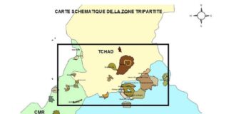 AFRIQUE CENTRALE – DÉFENSE : Vers une coopération sécuritaire entre le Tchad, le Cameroun et la RCA