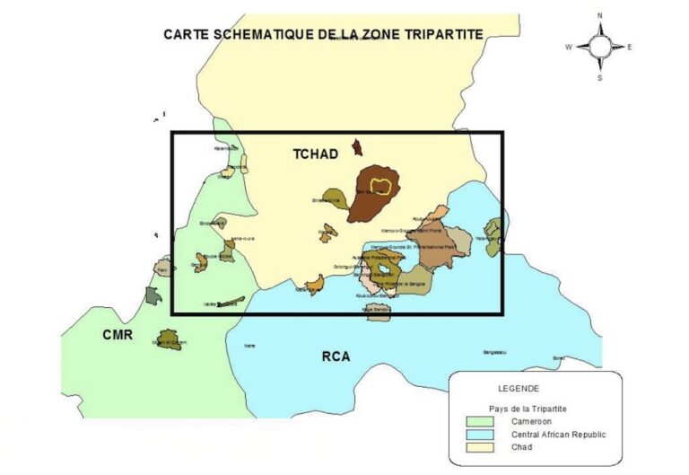 AFRIQUE CENTRALE – DÉFENSE : Vers une coopération sécuritaire entre le Tchad, le Cameroun et la RCA