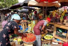 CAMEROUN – ÉCONOMIE : Révision à la baisse des prévisions d’inflation pour 2024